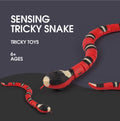 Magic Snake™ - Intelligent Toys - ZingoStore